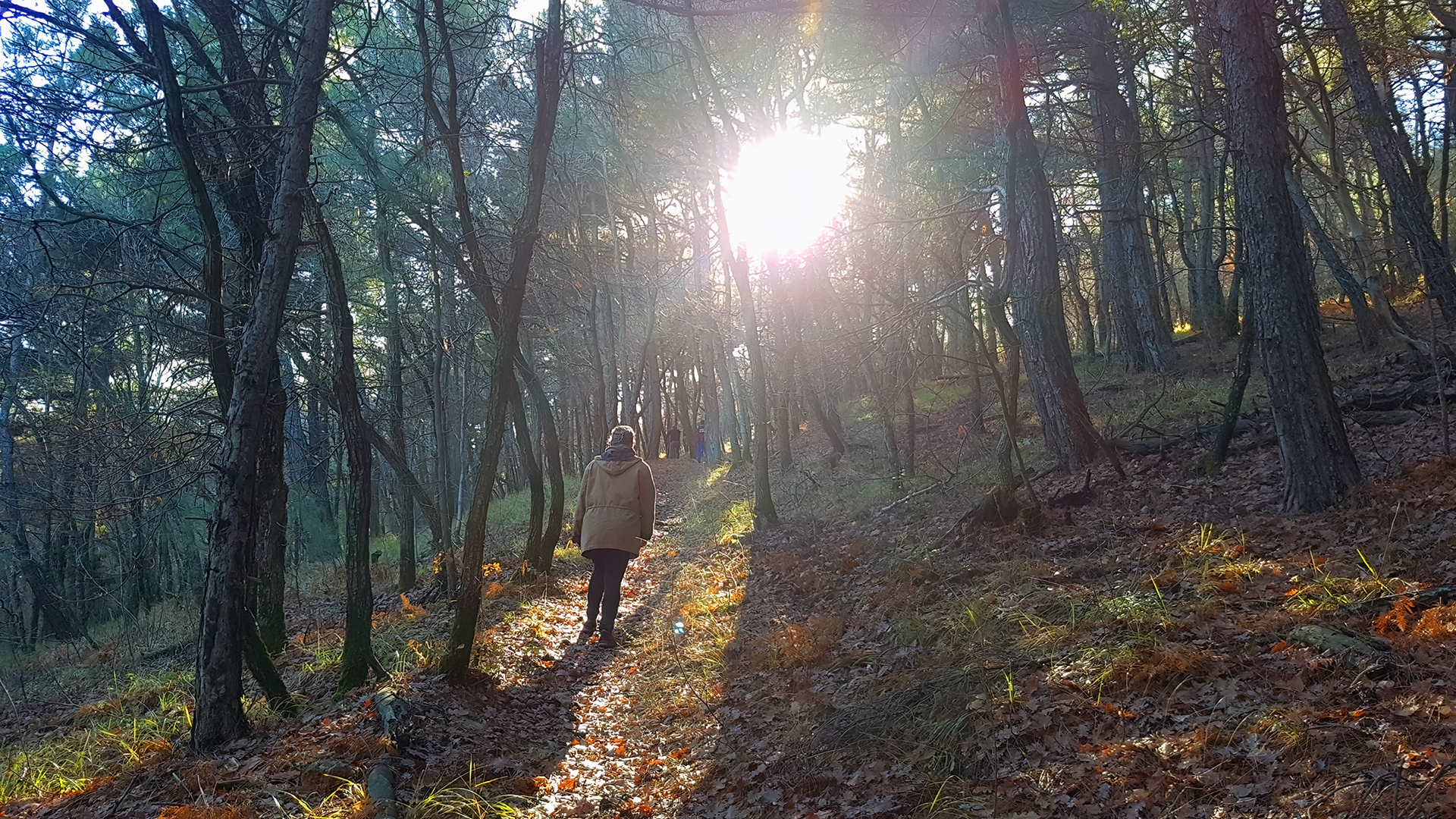 «Για εμάς, τους ανθρώπους της Δαδιάς, το δάσος που κάηκε ήταν η ζωή μας»-2