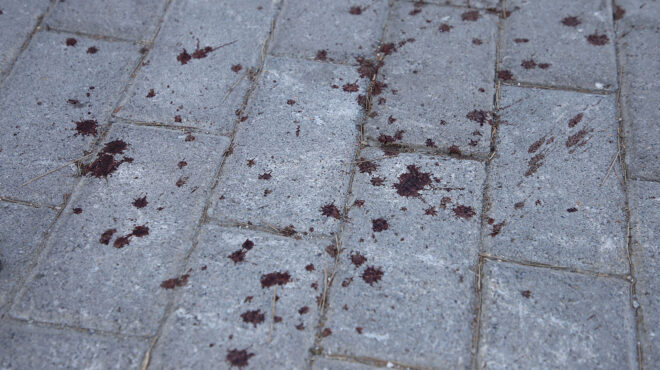 νέα-φιλαδέλφεια-ηθελα-να-της-ζητήσω-σ-562563535