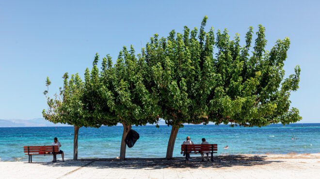 καλοκαίρι-στη-λούτσα-562567165