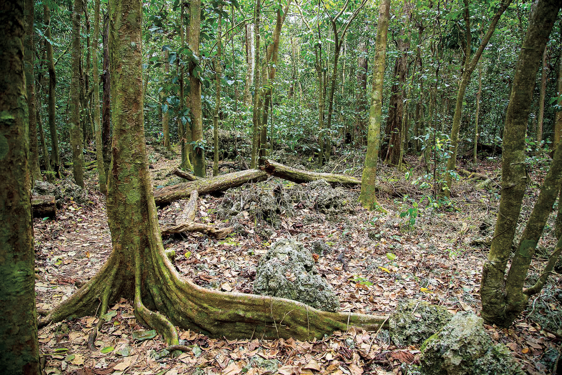 Pristine Seas: Μια σύγχρονη Αργοναυτική Εκστρατεία για τη σωτηρία του Ειρηνικού Ωκεανού-9