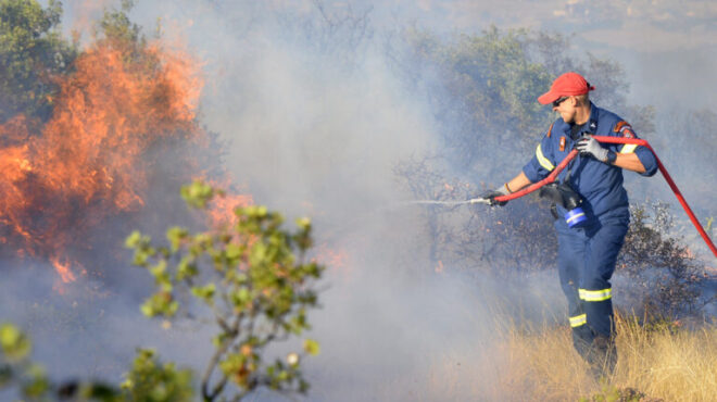 φωτιά-στο-δρυόφυτο-αρτας-κινητοποιή-562548811