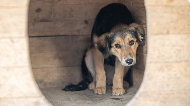 ελ-ασ-53-συλλήψεις-για-περιστατικά-κακο-562574707