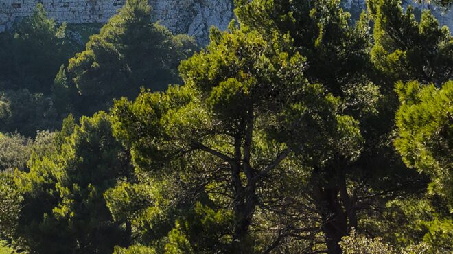 δήμος-φιλοθέης-ψυχικού-drone-με-θερμική-562582813