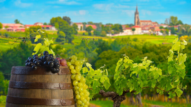 ποτάμι-2-εκατ-λίτρων-κόκκινου-κρασιο-562583140