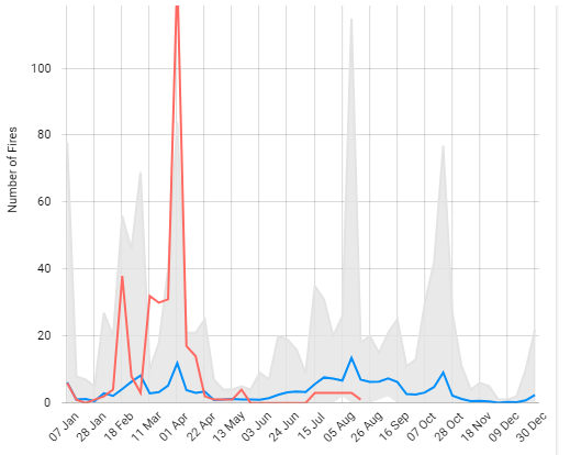 Γιατί η Ελλάδα έχει φέτος τις περισσότερες καμένες εκτάσεις στην Ευρώπη-3