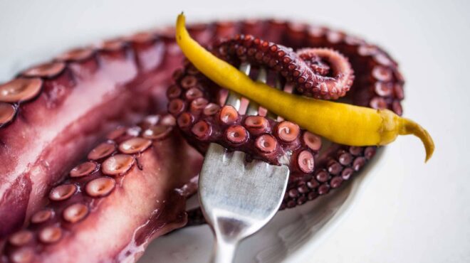 χταπόδι-οι-30-συνταγές-που-πρέπει-να-γνω-562580605