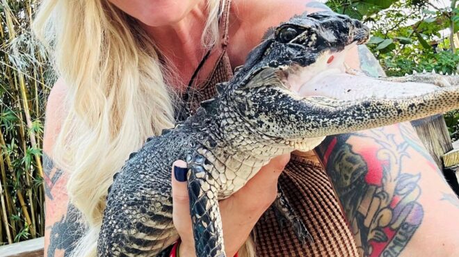 φλόριντα-πάρκο-υιοθέτησε-αλιγάτορα-χ-562624120