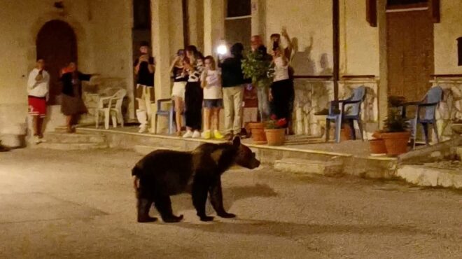 οργή-στην-ιταλία-για-τον-θανάσιμο-πυρο-562596292
