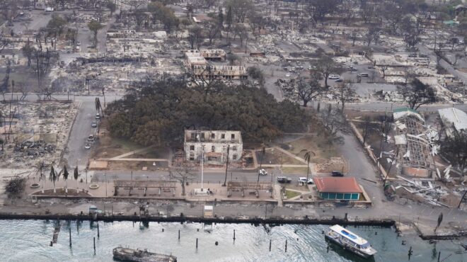 χαβάη-ανθισε-το-πελώριο-καμένο-μπάν-562624882