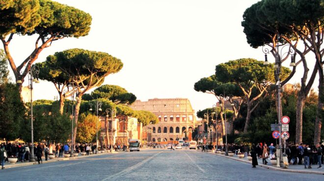 γιατί-κάποια-δέντρα-είναι-ντροπαλά-562597192