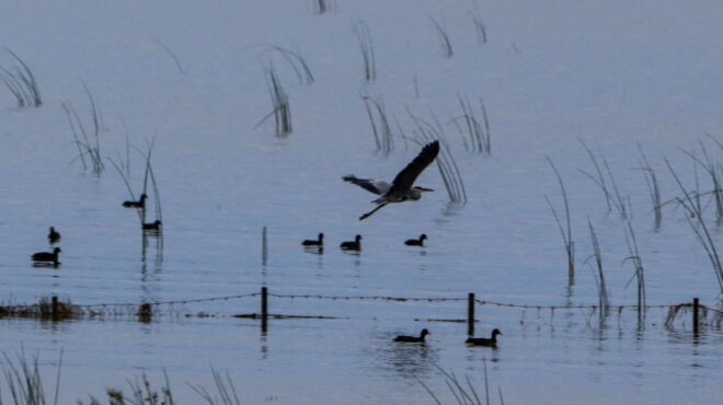 λίμνη-κάρλα-αγνοείται-άνδρας-που-πήγε-562631023