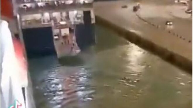 σώστε-τον-νέο-βίντεο-ντοκουμέντο-562601548