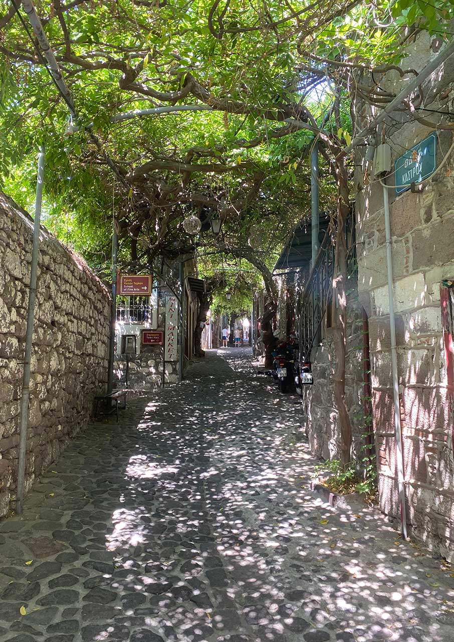 Στη Λέσβο για ένα τετραήμερο-2