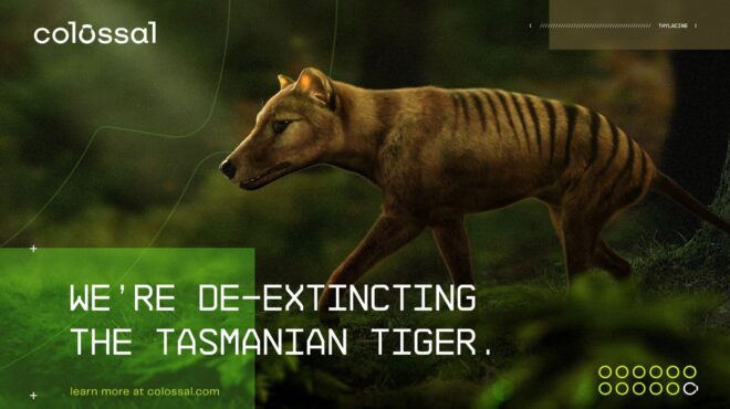 επαναστατική-πρωτιά-συνέλεξαν-rna-από-τ-562626487