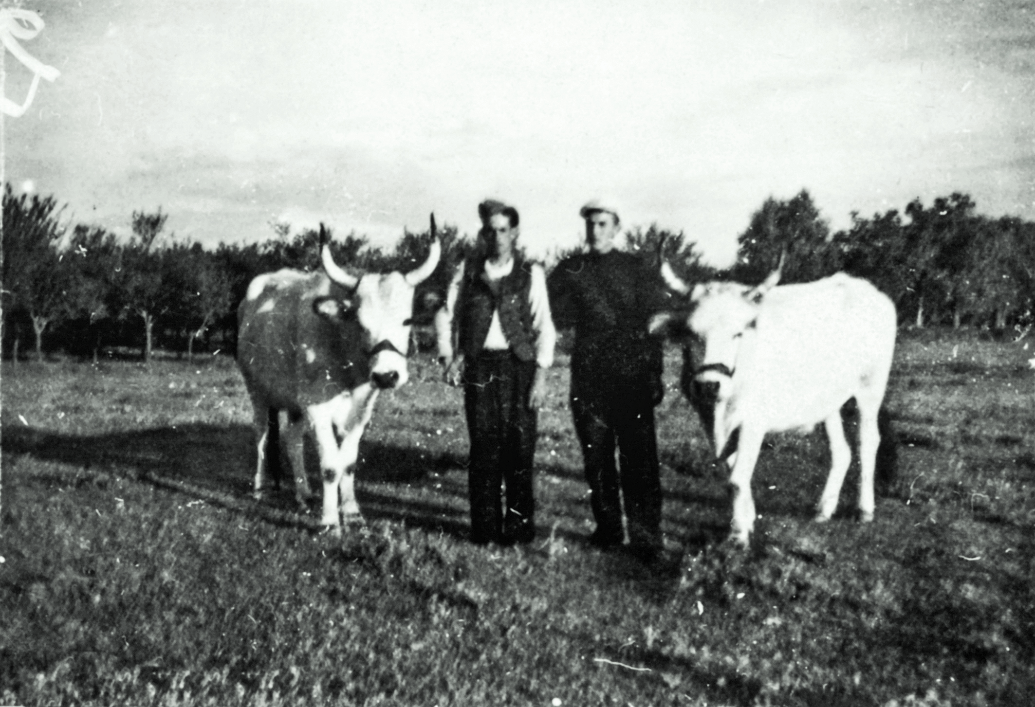 Βούλγαροι και Βουλγαρία: Εντυπώσεις από ένα ταξίδι στη γείτονα χώρα-8