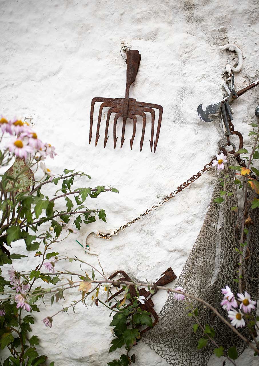 Νησί Ιωαννίνων: Πώς είναι να ζεις σε 200 στρέμματα τόπο;-3