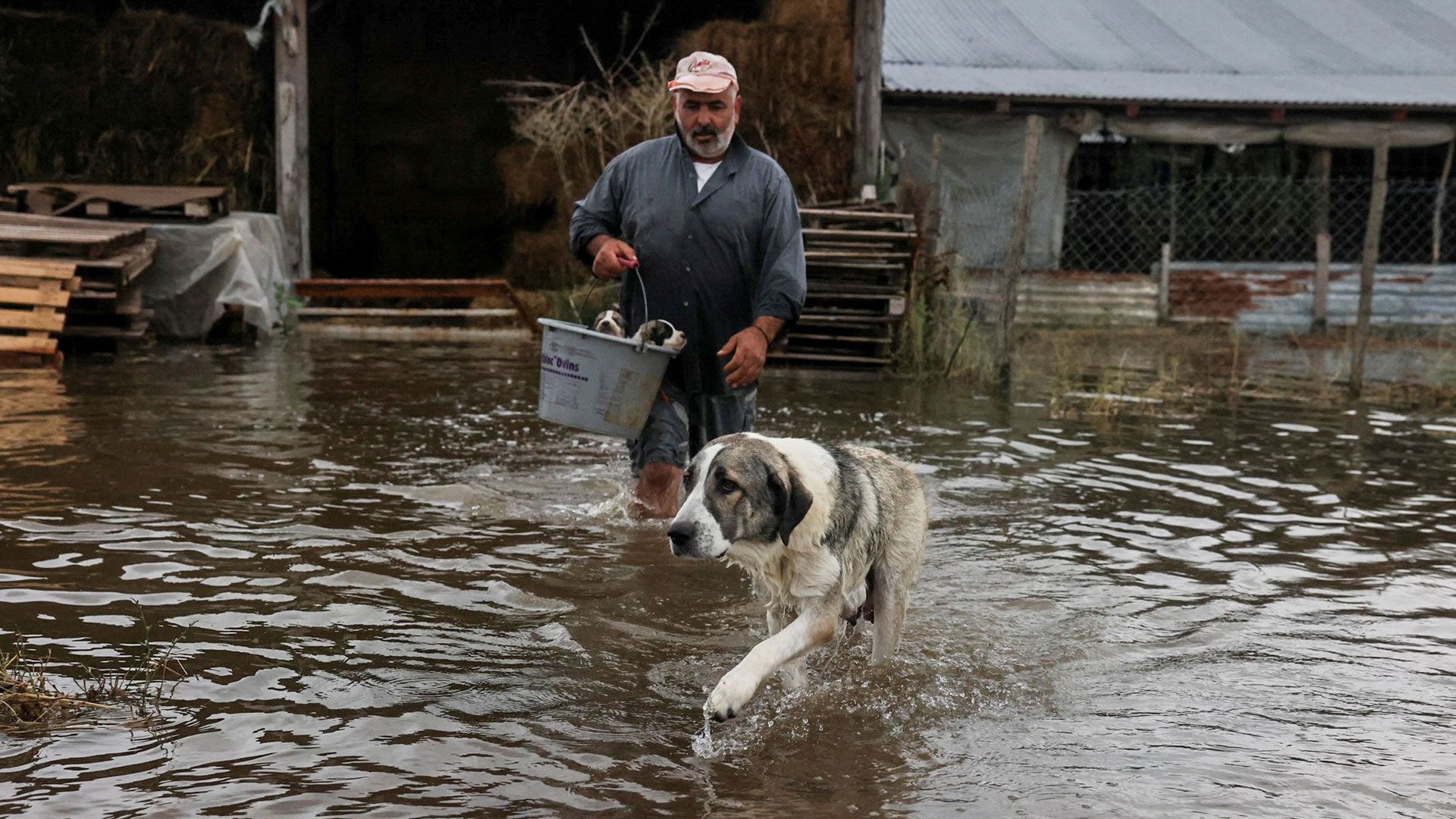 Κακοκαιρία Daniel: Καρέ καρέ το καταστροφικό πέρασμα της θεομηνίας-28