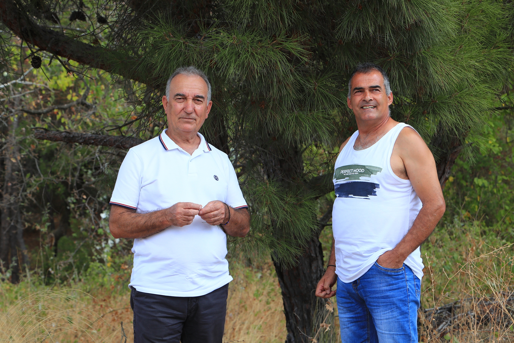 Χορεύοντας με τους γύπες στην καμένη Δαδιά-1