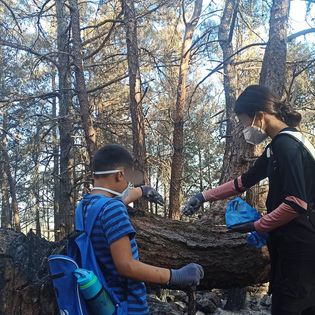 Φροντίζοντας πληγωμένα ζώα στο καμένο δάσος της Δαδιάς-5