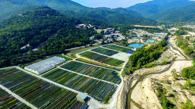 επιδοτήσεις-ενίσχυση-επιχειρήσεων-γ-562620934