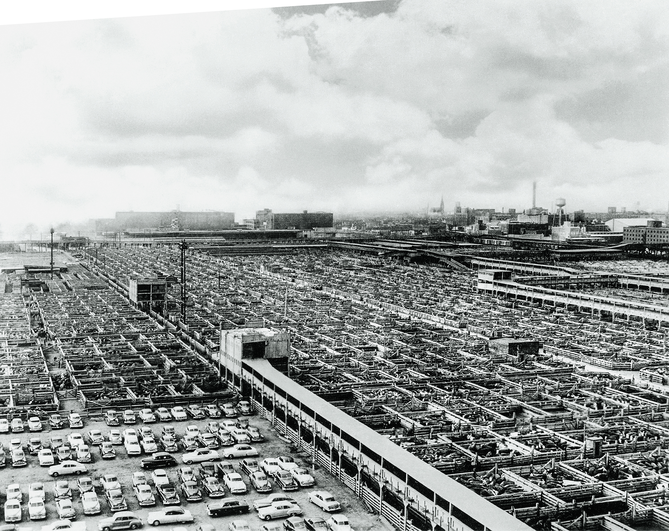 Εντυπώσεις από το ταξίδι στον νέο κόσμο-17