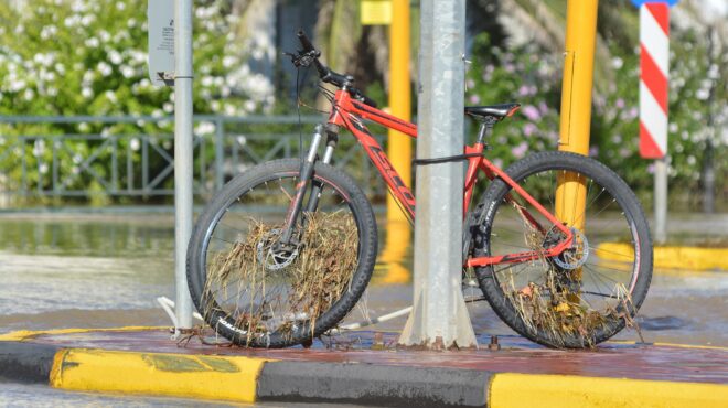 εντός-και-εκτός-τα-μηνύματα-δένδια-από-562613032