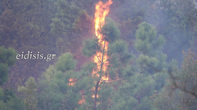 κιλκίς-σε-εξέλιξη-η-πυρκαγιά-στην-περι-562614889