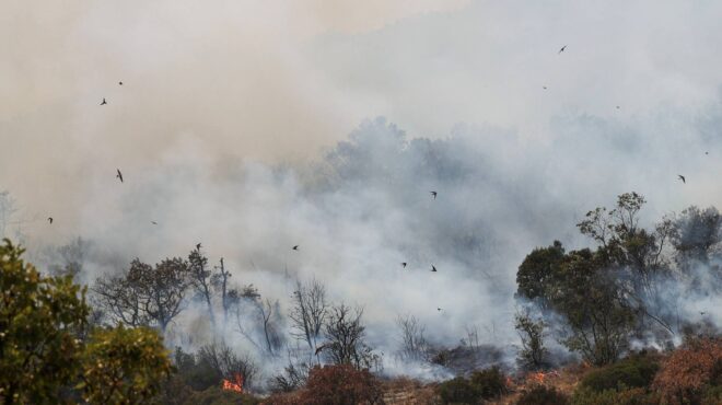 χωρίς-ενεργό-μέτωπο-η-πυρκαγιά-στον-εβ-562596841