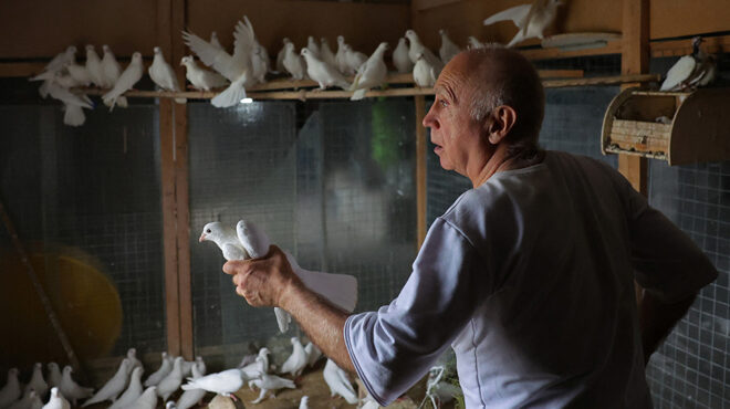 ξεχασμένο-χόμπι-562597972