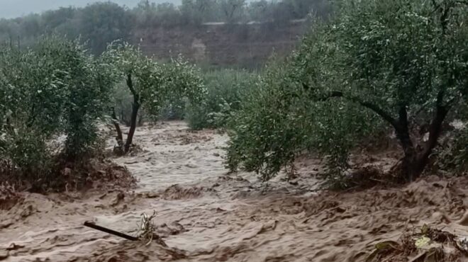 κακοκαιρία-daniel-νεκρή-ανασύρθηκε-ηλικιω-562601095