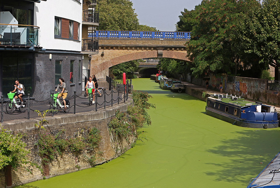 Τα σκουπίδια του US Open-2