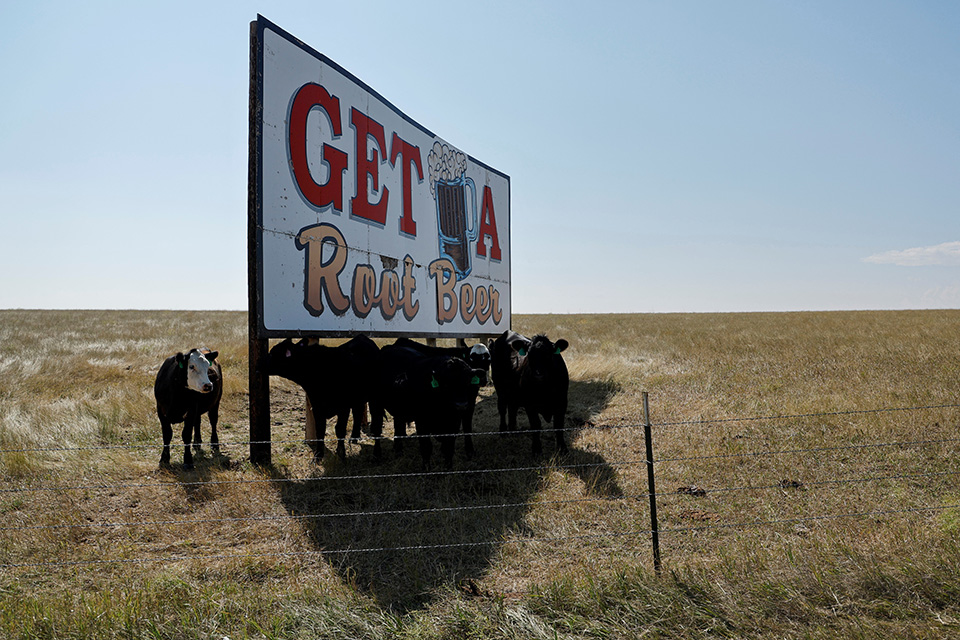 Για τον Ιαν Κέρτις-2