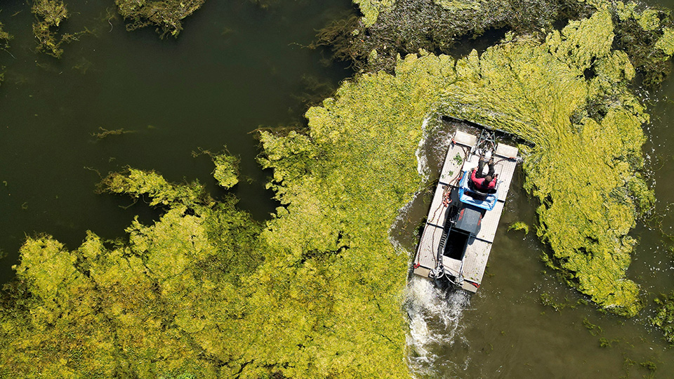 Οι φωνές των επιζώντων-3