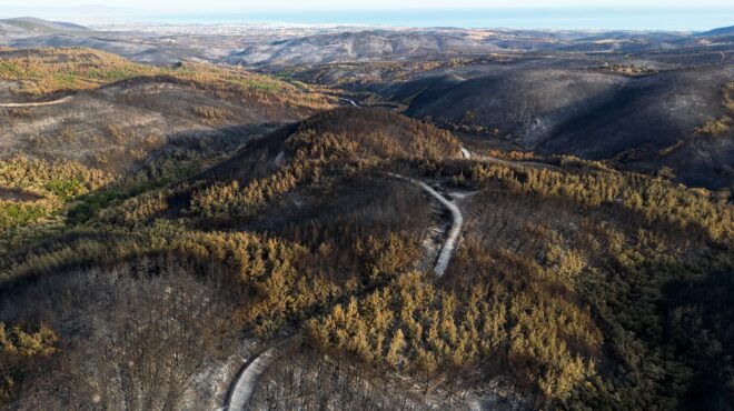 εβρος-ζητούν-πάγωμα-των-αιολικών-562636012