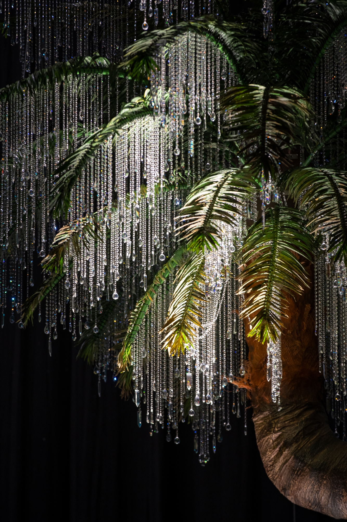 Ιωάννα Πανταζοπούλου: Ενα φοινικόδασος στην Λυρική Σκηνή-1