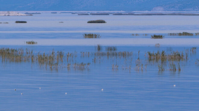λίμνη-κάρλα-πιέζονται-τα-αναχώματα-δε-562619101