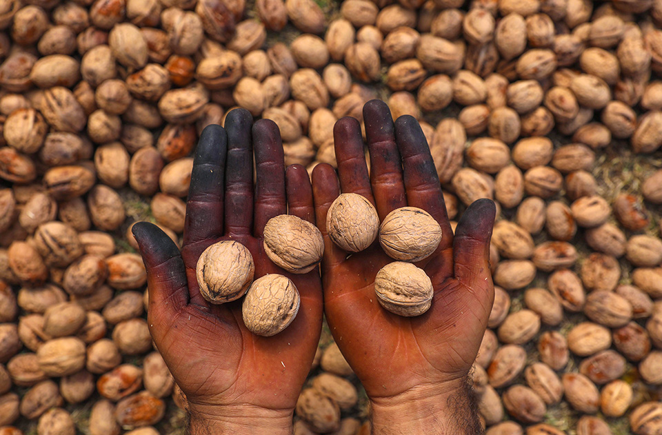 Οι φωνές των επιζώντων-2