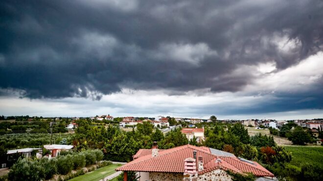 αγαπηδάκη-κίνδυνος-λεπτοσπείρωσης-σ-562634254