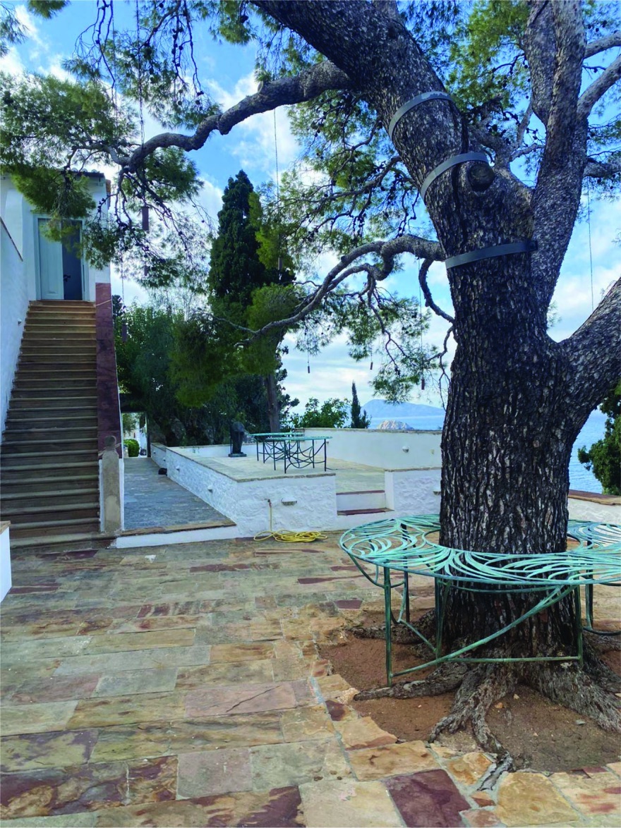 Στο «σφυρί» η συλλογή της Πολίν Καρπίδα από το σπίτι της στην Υδρα-2