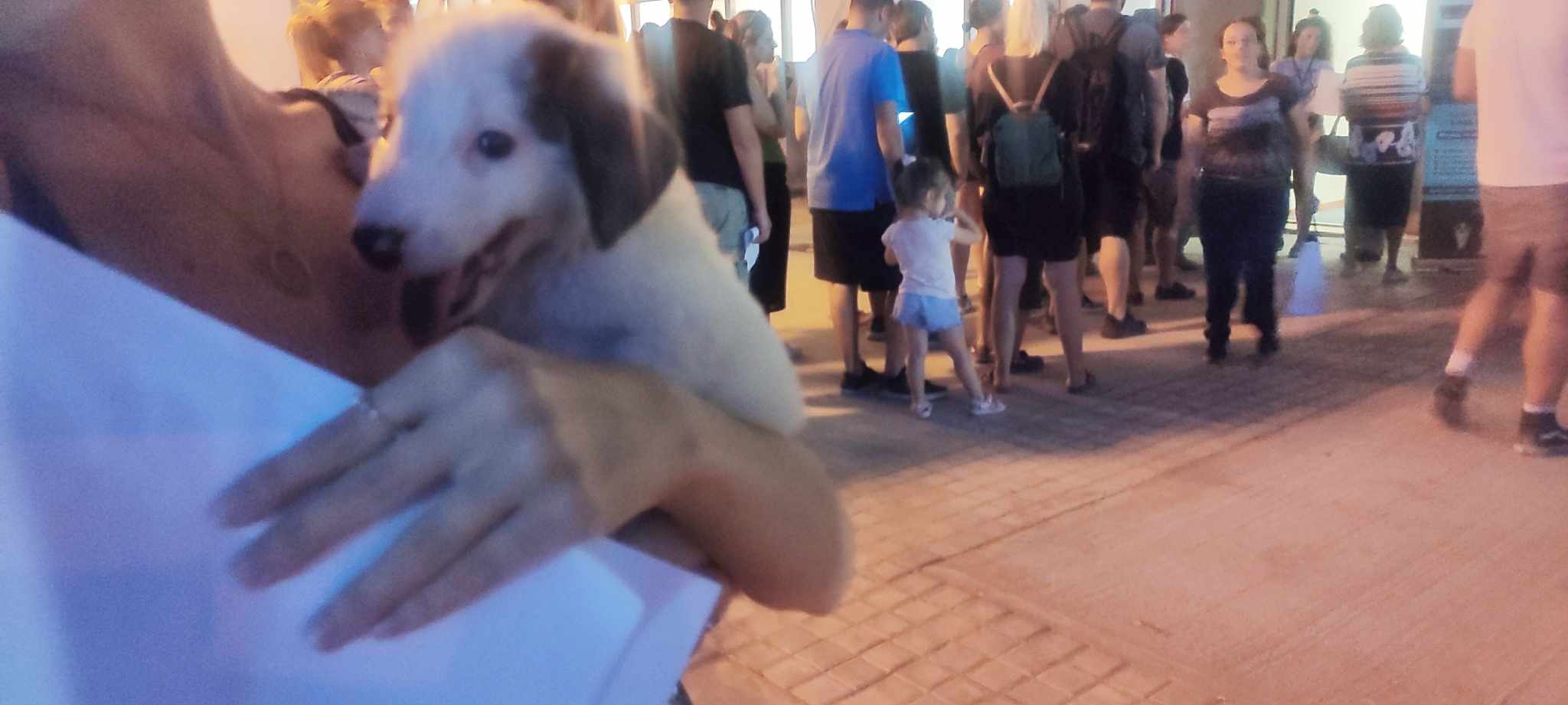 Από τον εφιάλτη των πυρκαγιών στην αγκαλιά μιας οικογένειας-9