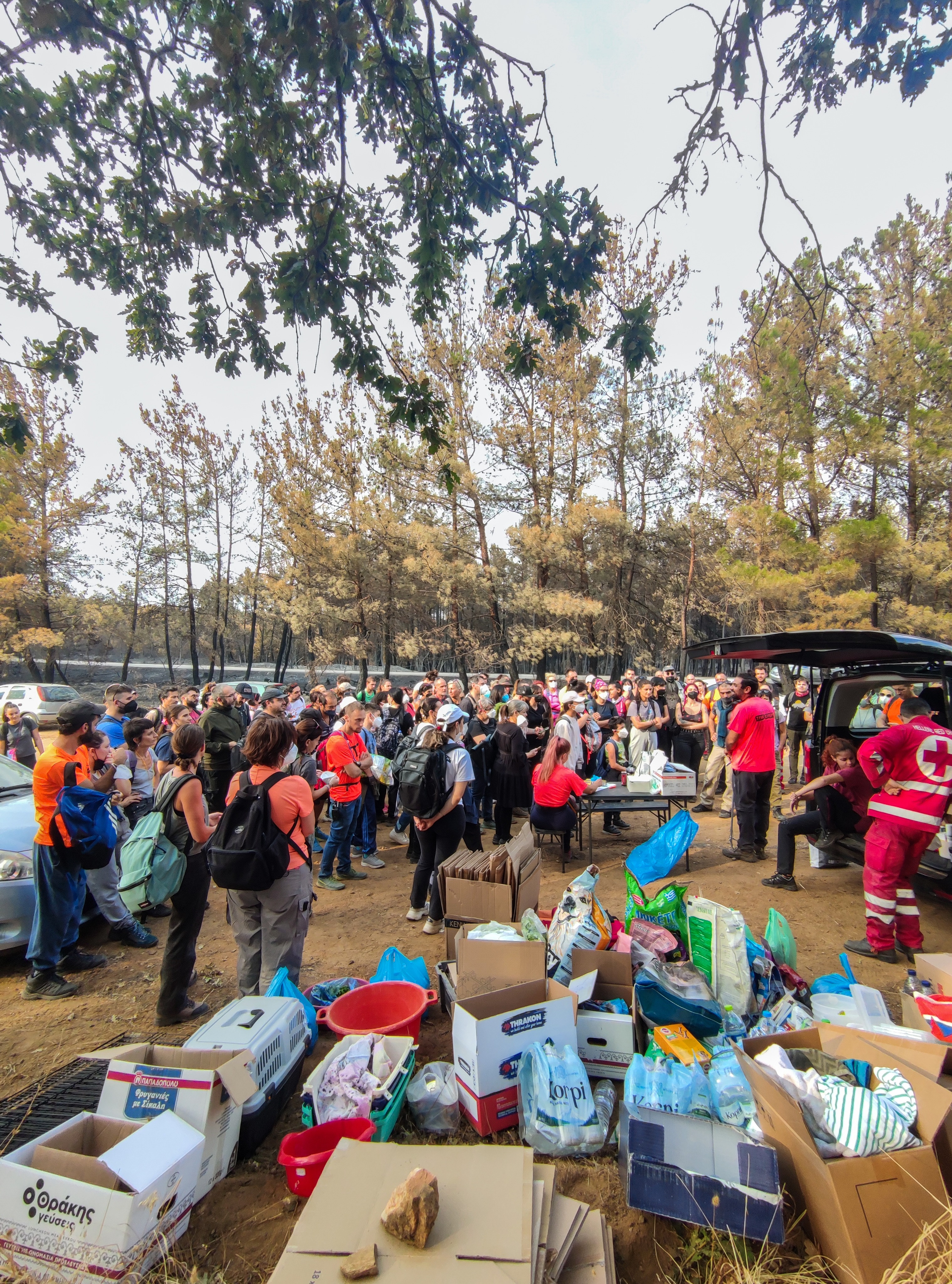 Φροντίζοντας πληγωμένα ζώα στο καμένο δάσος της Δαδιάς-1