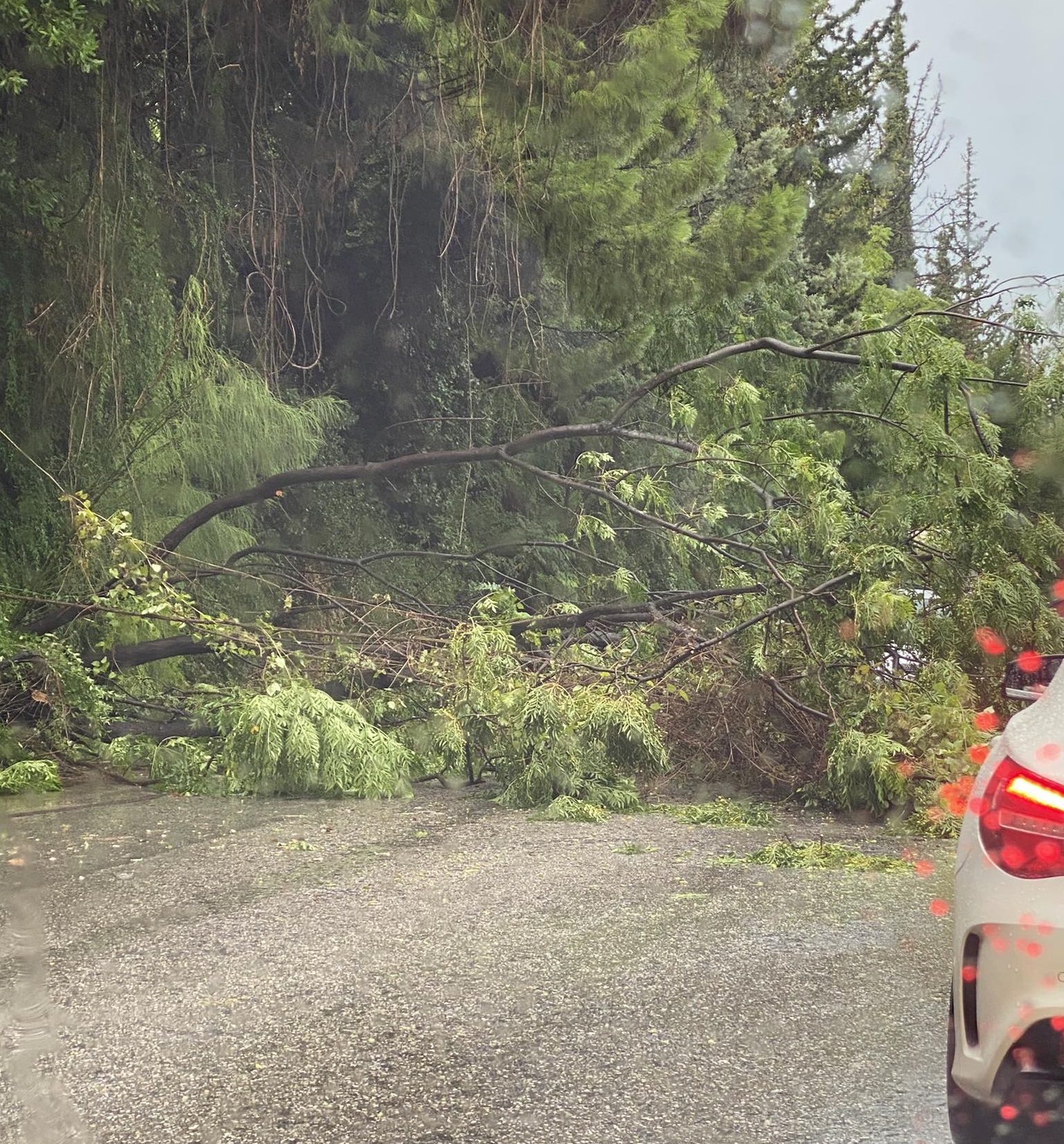Κακοκαιρία «Daniel»: Χάος στο κέντρο της Αθήνας – Πλημμύρισαν δρόμοι-2