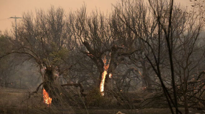 πυρκαγιά-στον-εβρο-αγώνας-δρόμου-για-ν-562598074