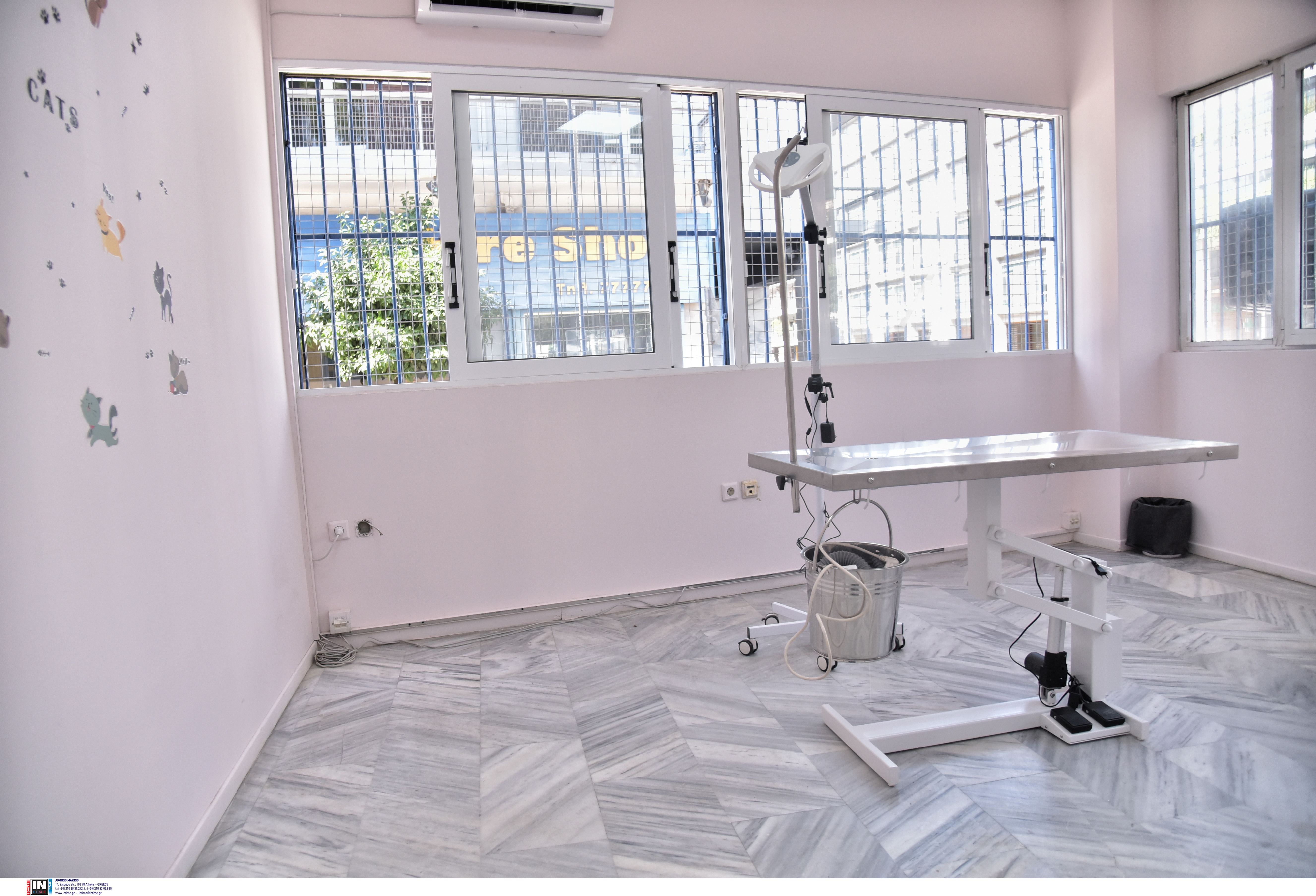 Δήμος Αθηναίων:  Εγκαίνια του πρώτου Δημοτικού Κτηνιατρείου, με πρωταγωνίστρια τη «Μαστίχα»-1