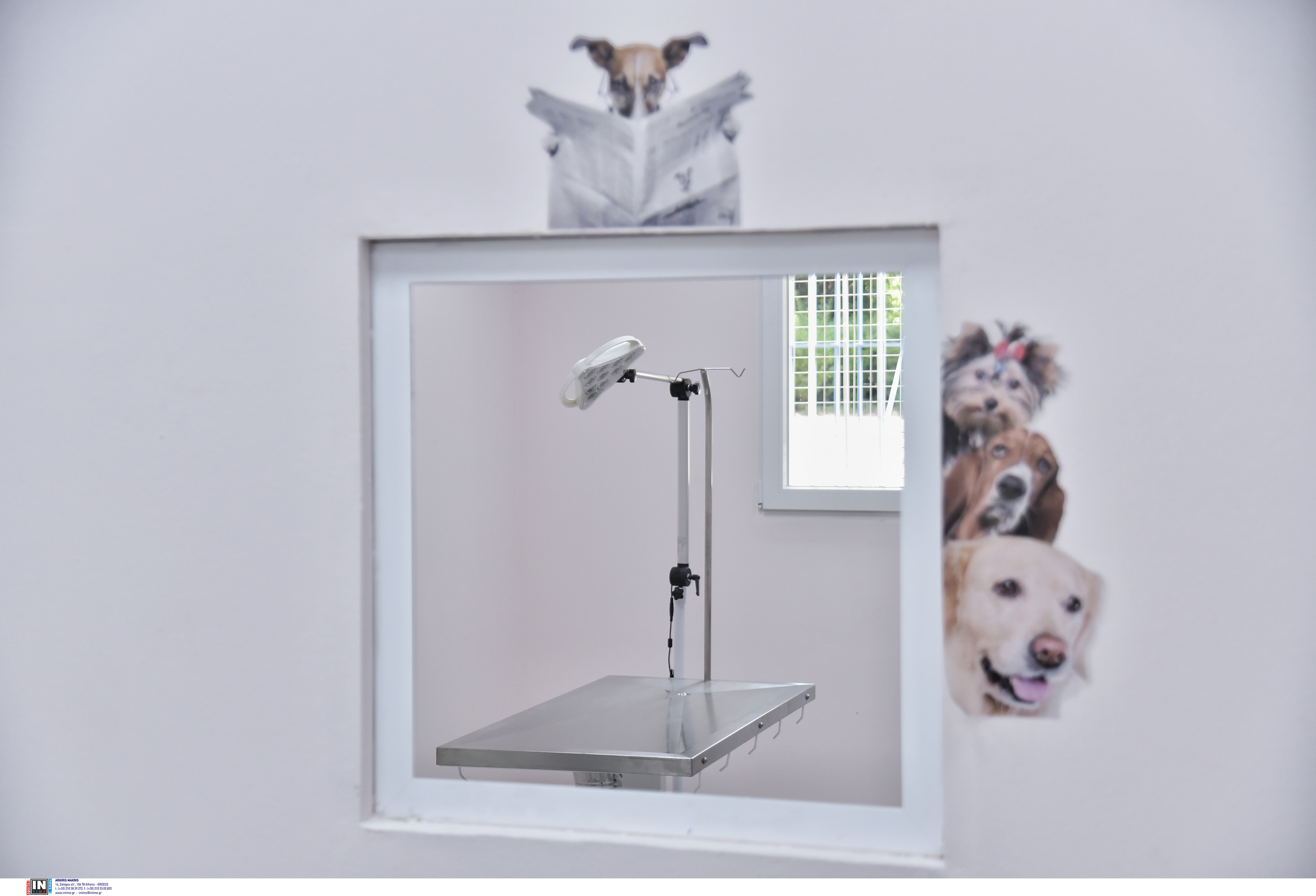 Δήμος Αθηναίων:  Εγκαίνια του πρώτου Δημοτικού Κτηνιατρείου, με πρωταγωνίστρια τη «Μαστίχα»-3