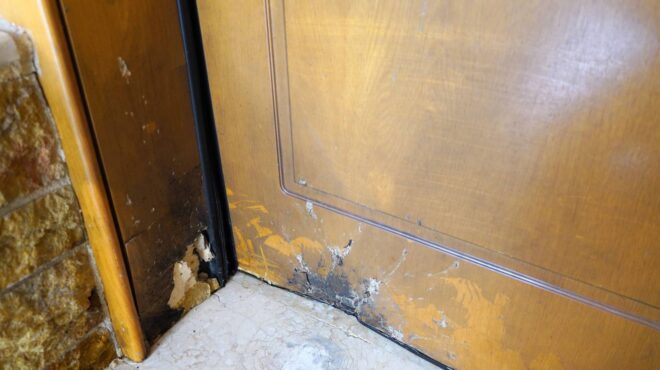 κυψέλη-επίθεση-με-χειροβομβίδα-σε-πολ-562599295