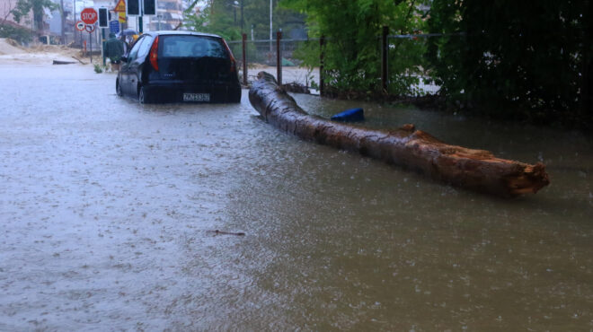 εκπρόσωπος-πυροσβεστικής-μην-διασχί-562599892