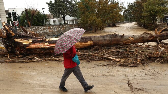 κακοκαιρία-daniel-κίνδυνος-επιδημιών-στις-562610299