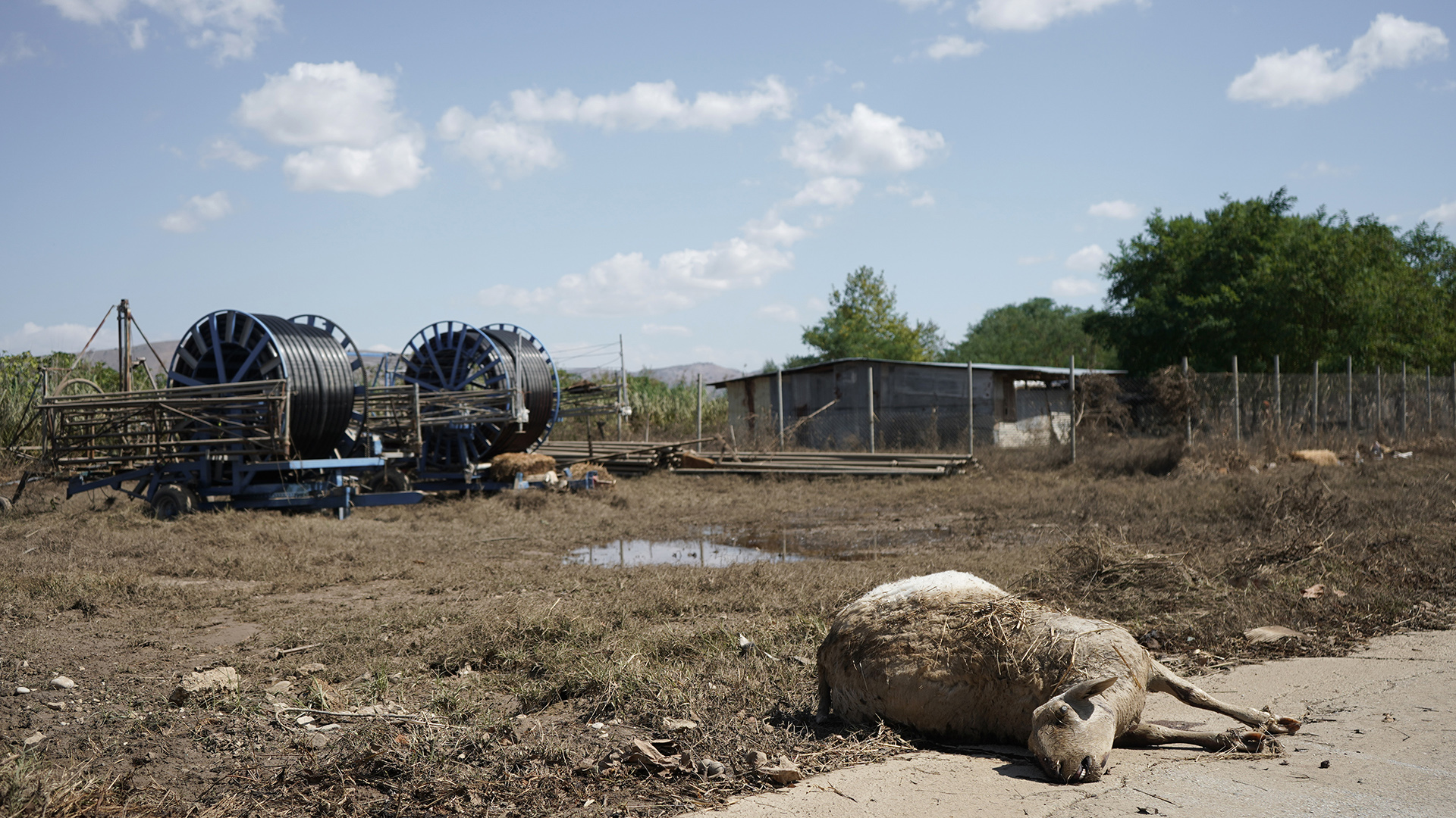 Καρδίτσα – Αποστολή: Οσο η στάθμη του νερού κατεβαίνει, αποκαλύπτεται το μέγεθος της καταστροφής-1