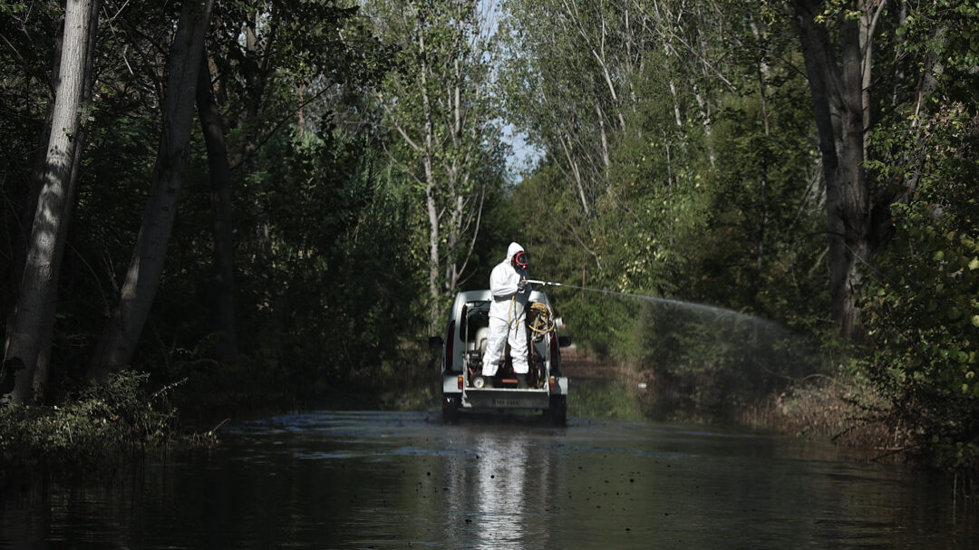 θεσσαλία-αγώνας-δρόμου-μπροστά-στην-α-562622644